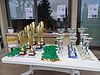 Finale Nazionale Firenze-Fiesole 19-21 maggio 2025